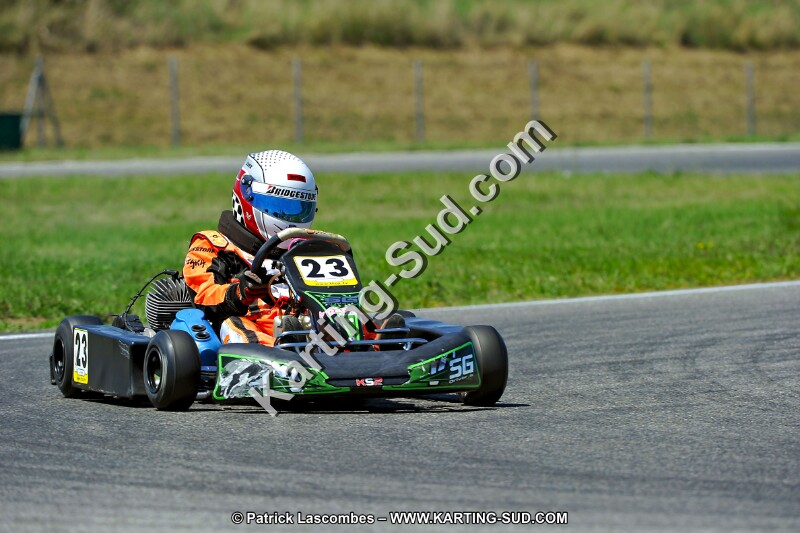 DSC_ (1489).jpg